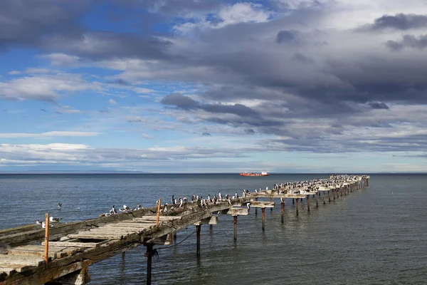 Blick auf Punta Arenas, Magellanstraße, Patagonien, Chile — Stockfoto