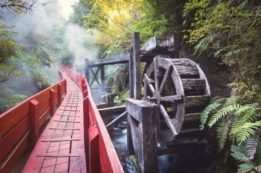 Termal Milli Park Villarica, Şili
