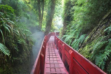 Termal Milli Park Villarica, Şili