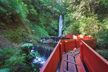 Termal Milli Park Villarica, Şili