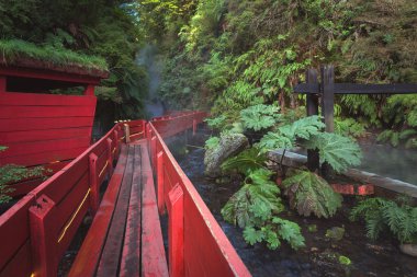 Termal Milli Park Villarica, Şili
