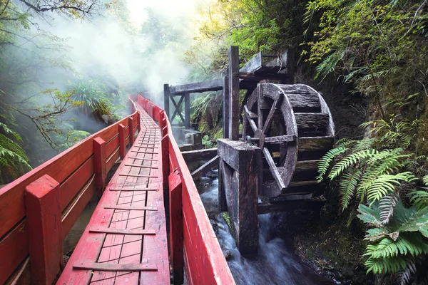 Sources thermales dans le parc national Villarica, Chili — Photo