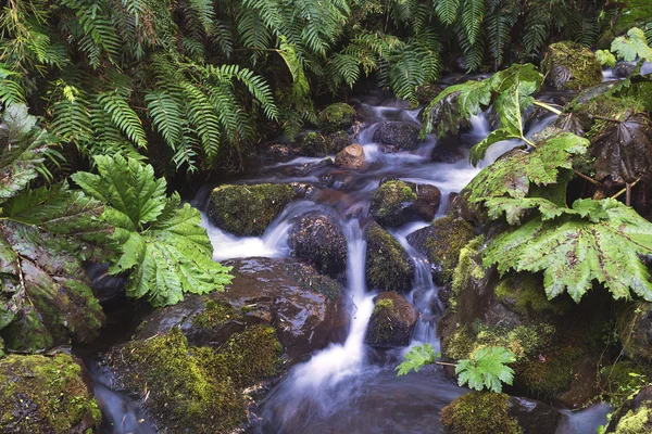 Termální prameny v národním parku Villarica, Chile — Stock fotografie