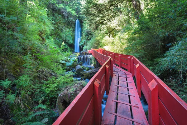 Varma källor i nationalparken Villarica, Chile — Stockfoto