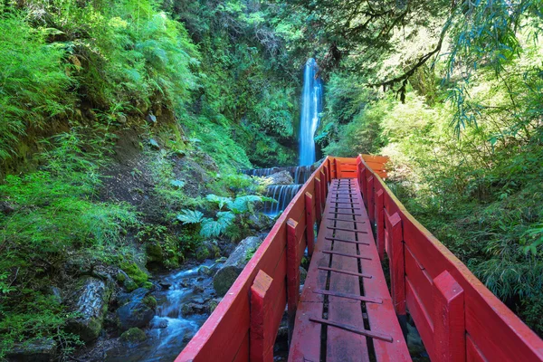 Termas en Parque Nacional Villarica, Chile — Foto de Stock