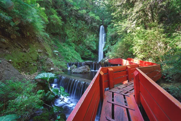 Fontes termais no parque nacional Villarica, Chile — Fotografia de Stock