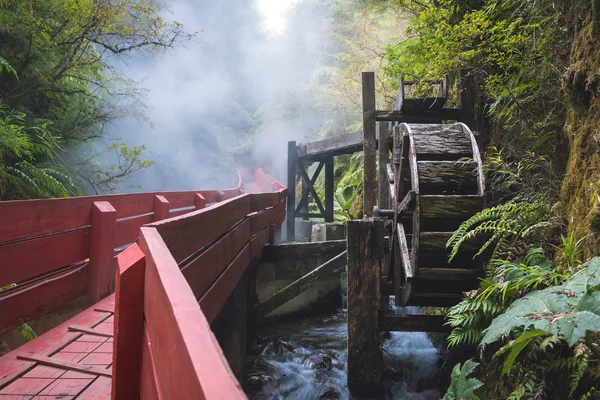 Sources thermales dans le parc national Villarica, Chili — Photo