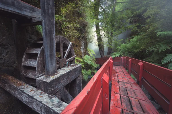 Termas en Parque Nacional Villarica, Chile — Foto de Stock