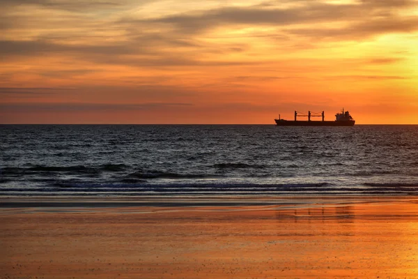 Cargo ships in the ocean at sunset