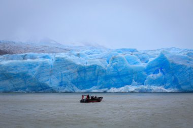 Gri buzul, Torres del Paine Milli Parkı, Patagonia, Şili