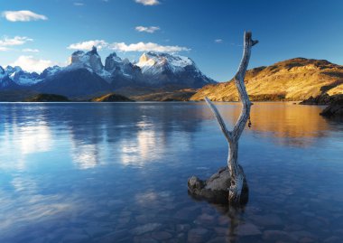 Milli Parkı Torres del Paine, Patagonia, Şili