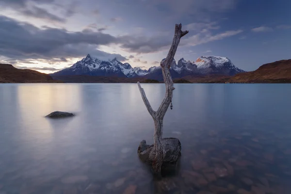 National park Torres del Paine, Patagonia, Chile — Stock Photo, Image