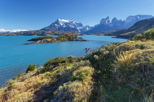 Nationaal Park Torres del Paine, Patagonië, Chili — Stockfoto