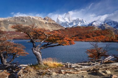 Mount fitz roy, los glaciares Milli Parkı, Patagonya