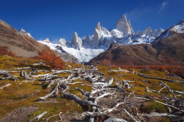 Mount fitz roy, los glaciares Milli Parkı, Patagonya