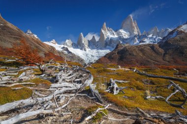 Mount fitz roy, los glaciares Milli Parkı, Patagonya