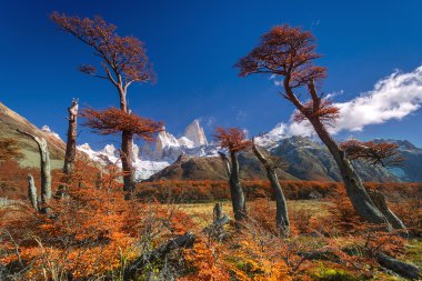 Mount fitz roy, los glaciares Milli Parkı, Patagonya