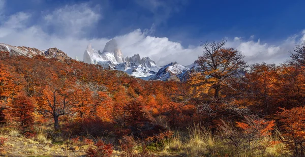 Mount fitz roy, los glaciares national park, Patagonië — Stockfoto