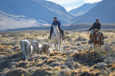 El Chalten, Mount Fitz Roy, Arjantin - 16 Nisan: Gaucho karşı