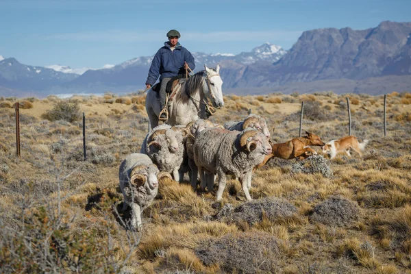 El Chalten, Mount Fitz Roy, Argentyna - 16 kwietnia: Gaucho przeciwko — Zdjęcie stockowe