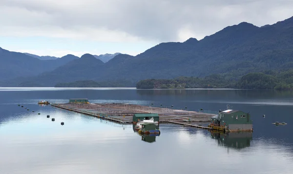 Zucht von Fisch und Meeresfrüchten in Patagonien, Chile — Stockfoto