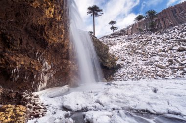  Agrio nehir, il Park Copahue - Caviahue. Patagonya, 
