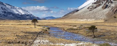 Agrio Nehri, Patagonya, Arjantin, Copahue İl Parkı - 