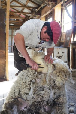 El Chalten, Mount Fitz Roy, Arjantin - 22 Mart: shearin Gaucho