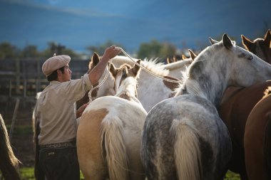 El Chalten, Mount Fitz Roy, Arjantin - 22 Mart: Gaucho, Pata