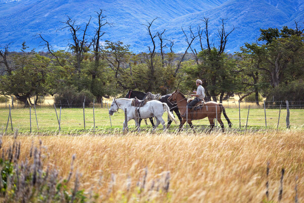 EL CHALTEN, MOUNT FITZ ROY, ARGENTINA - MARCH 22: Gaucho in Pata