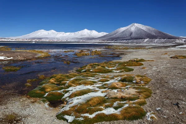 阿根廷和智利的边界上的绿色泻湖 (海逸豪园) — 图库照片