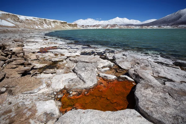 Grüne Lagune (laguna verde) an der Grenze zwischen Argentinien und Chile — Stockfoto