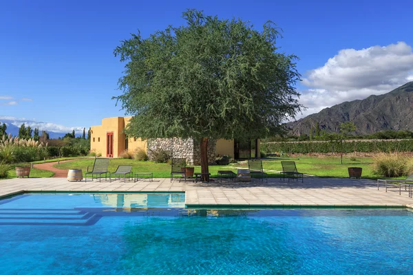 Piscina nel vigneto e a Cafayate, Argentina settentrionale — Foto Stock