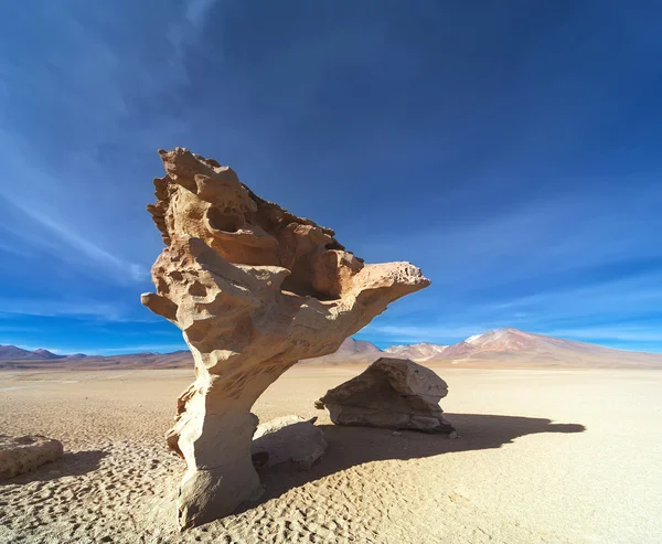 Stone tree, Altiplano, Bolivia — Stock fotografie