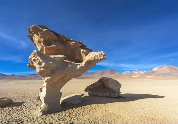 Albero di pietra, Altiplano, Bolivia — Foto Stock