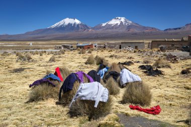 Sajama Ulusal Parkı, Bolivya