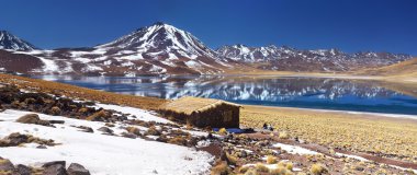 Miscanti lagoon, Atacama desert, Chile clipart