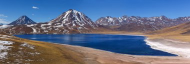 Miscanti lagün, Atacama Çölü, Şili