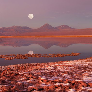 Tebenqueche lagün, Licancabur yanardağ, Atacama Çölü, Şili