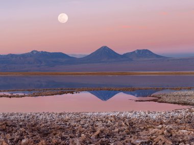 Tebenqueche lagün, Licancabur yanardağ, Atacama Çölü, Şili