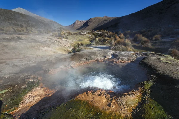 Sajama-Nationalpark in Bolivien — Stockfoto