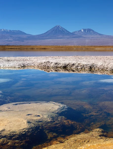 Λιμνοθάλασσα Baltinache, ηφαίστειο Licancabur, έρημος Atacama, ΧΙΛΗ — Φωτογραφία Αρχείου
