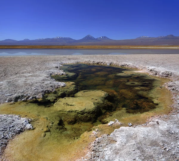 Baltinache-Lagune, Vulkan licancabur, Atacama-Wüste, Chili — Stockfoto