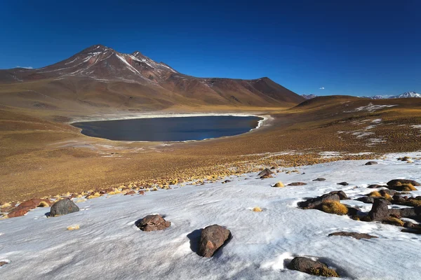 Lagoa Miniques, Deserto do Atacama, Chile — Fotografia de Stock