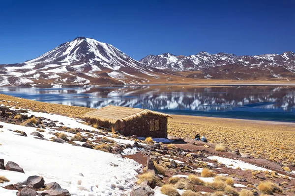 Λιμνοθάλασσα Miscanti, έρημος Atacama, ΧΙΛΗ — Φωτογραφία Αρχείου