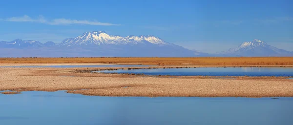 Lagoa de Sejar, deserto do Atacama, Chile — Fotografia de Stock