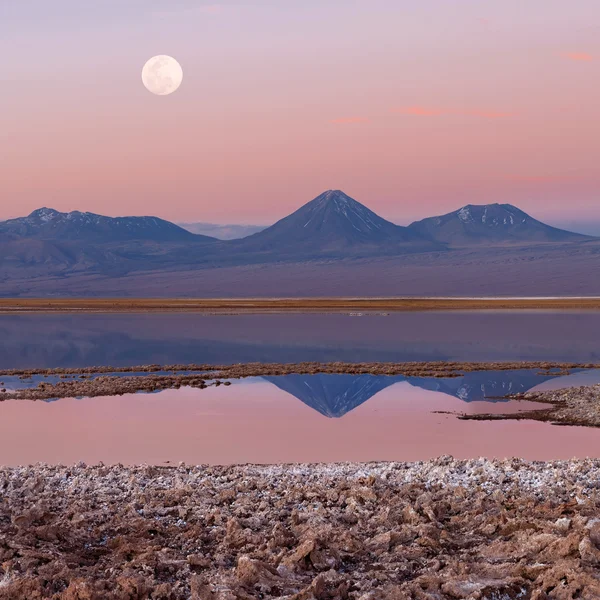 Tebenqueche lagün, Licancabur yanardağ, Atacama Çölü, Şili