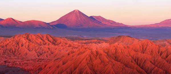 智利阿塔卡马沙漠Catarpe, Licancabur火山 — 图库照片