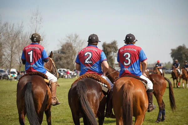 BUENOS AIRES, ARGENTINA - SEP 19: Players in the national game o — стокове фото