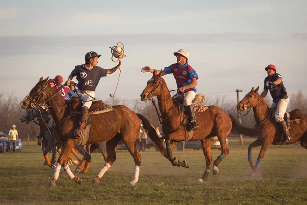 BUENOS AIRES, ARGENTINA - SEP 19: Players in the national game o — Stock fotografie